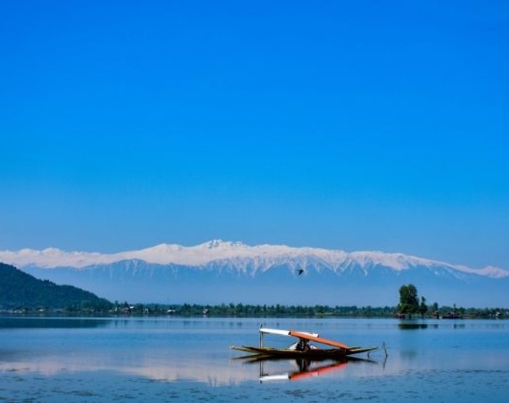 WhatsApp Image 2024-05-04 at 11.29.53_b355674c